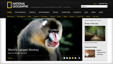 在线短信轰炸软件